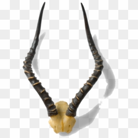 Impala, HD Png Download - horns png