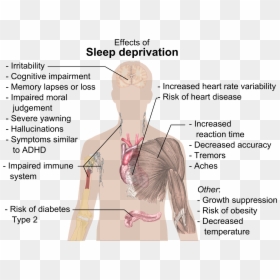 Effects Of Sleep Deprivation Diagram, HD Png Download - loss.png
