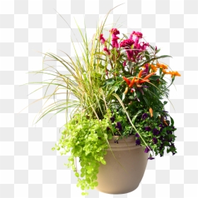 Flowerpot, HD Png Download - ornamental grass png