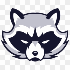 Raccoon Face Vector, HD Png Download - raccoon png