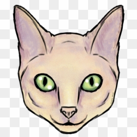 Squitten, HD Png Download - cat face png