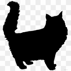 Fluffy Cat Silhouette, HD Png Download - cat face png