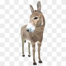Donkey Images In Png, Transparent Png - donkey png