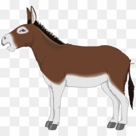 Mule Clipart, HD Png Download - donkey png