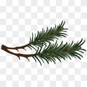Pine Needle Clipart, HD Png Download - needle png