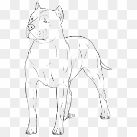 Line Art, HD Png Download - bull png