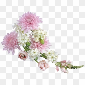 Transparent Background Real Flowers Png, Png Download - pink flowers png