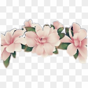 Transparent Background Flower Crown Clipart, HD Png Download - snapchat filters png