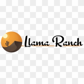 Jack-o'-lantern, HD Png Download - sean taylor png