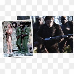 Planet Of The Apes Next To War For The Planet Of The, HD Png Download - war for the planet of the apes logo png