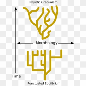 Gradualism And Punctuated Equilibrium, HD Png Download - consequences png