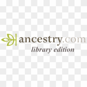 Ancesty - Calligraphy, HD Png Download - library.png