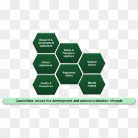 Competency Framework Template, HD Png Download - logo placeholder png