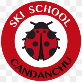 Escuela Ski School Candanchu - Candanchu, HD Png Download - escuela png