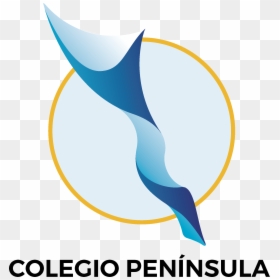 Logo - Graphic Design, HD Png Download - escuela png