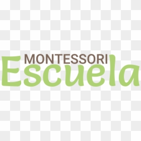 Montessori Escuela - Graphic Design, HD Png Download - escuela png