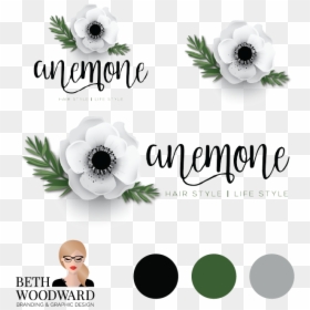 Anemone, HD Png Download - packages png