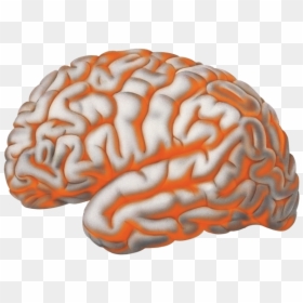 Basic Algorithm For Brain, HD Png Download - miranda sings png