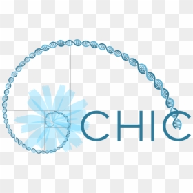 Logodef, HD Png Download - chic png