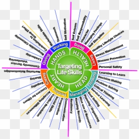 Targeting Life Skills - Circle, HD Png Download - 4h png