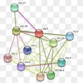 Oig-4 Protein - Circle, HD Png Download - nra png