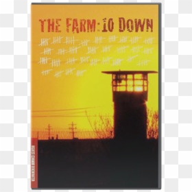 The Farm Ten Down - Flyer, HD Png Download - emmy png