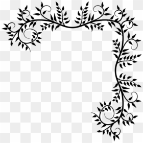 Plant,leaf,pedicel - Plants, HD Png Download - leaves branch png