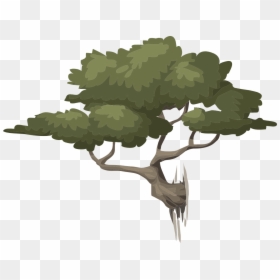 Bonsai Tree Clear Background, HD Png Download - trees without leaves png