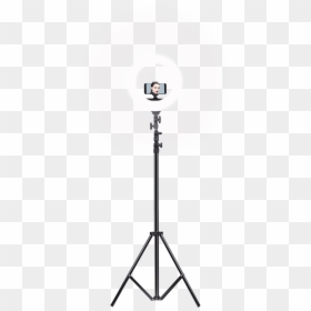 Ring Light Big, HD Png Download - camera with stand png