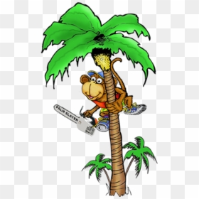 Monkey With A Chainsaw, HD Png Download - tree vector png images