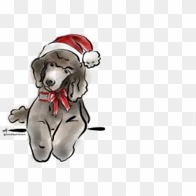 Mini Poodles, Cute Little Animals, Fur Babies, Dog - Poodle, HD Png Download - cute dog clipart png