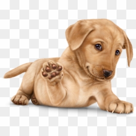 Golden Retriever Puppies Png, Transparent Png - cute dog clipart png