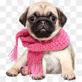 Transparent Pugs Clipart - Transparent Cute Dog Png, Png Download - cute dog clipart png