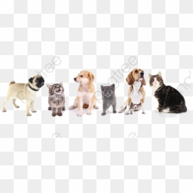 Transparent Dog Clipart - Wall Painting Of Cat And Dog, HD Png Download - cute dog clipart png
