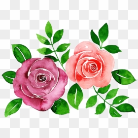 Garden Roses, HD Png Download - pink roses flowers bouquet png