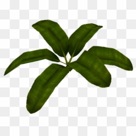 Transparent Banana Leaf Clipart - Herbaceous Plant, HD Png Download - full banana leaf png hd