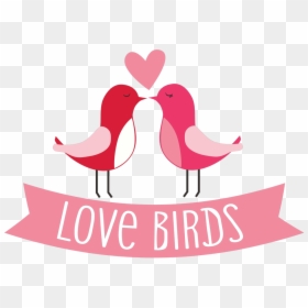 Transparent Love Birds Png - Olamide Glo, Png Download - birds png file