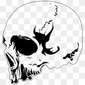 Skull, Design, Tattoo, Skeleton, Death, Dead, Head - Рисунок Череп На Черном Фоне, HD Png Download - tattoo vector png