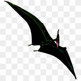 Black Pterodactyl, HD Png Download - flying bird png image