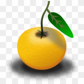 Clipart Of Pomelo, HD Png Download - fruit juices png