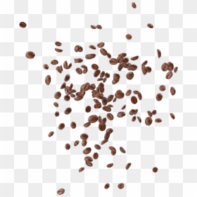 Coffee Beans - Download Coffee Beans Png, Transparent Png - coffee seed png