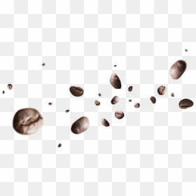 Flying Coffee Beans Png, Transparent Png - coffee seed png