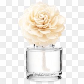 Scentsy Fragrance Flower, HD Png Download - flowers rain png