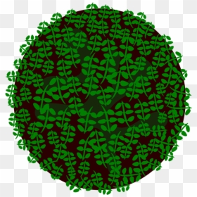 Leaf,circle,grass - Circle, HD Png Download - landscape grass png