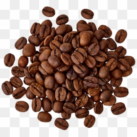 Middlebury Food Co-op, HD Png Download - coffee seed png