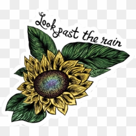 Look Past The Rain Sticker - Sunflower, HD Png Download - flowers rain png