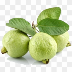 Guava Transparent Image - Good Evening With Fruits, HD Png Download - guava fruit png