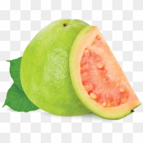 Transparent Guava Png - Guava Clipart Transparent Background, Png Download - guava fruit png