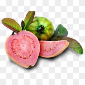 Guava Png - Guava, Transparent Png - guava fruit png