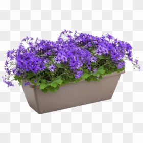 Flowerpot, HD Png Download - wall hanging plants png